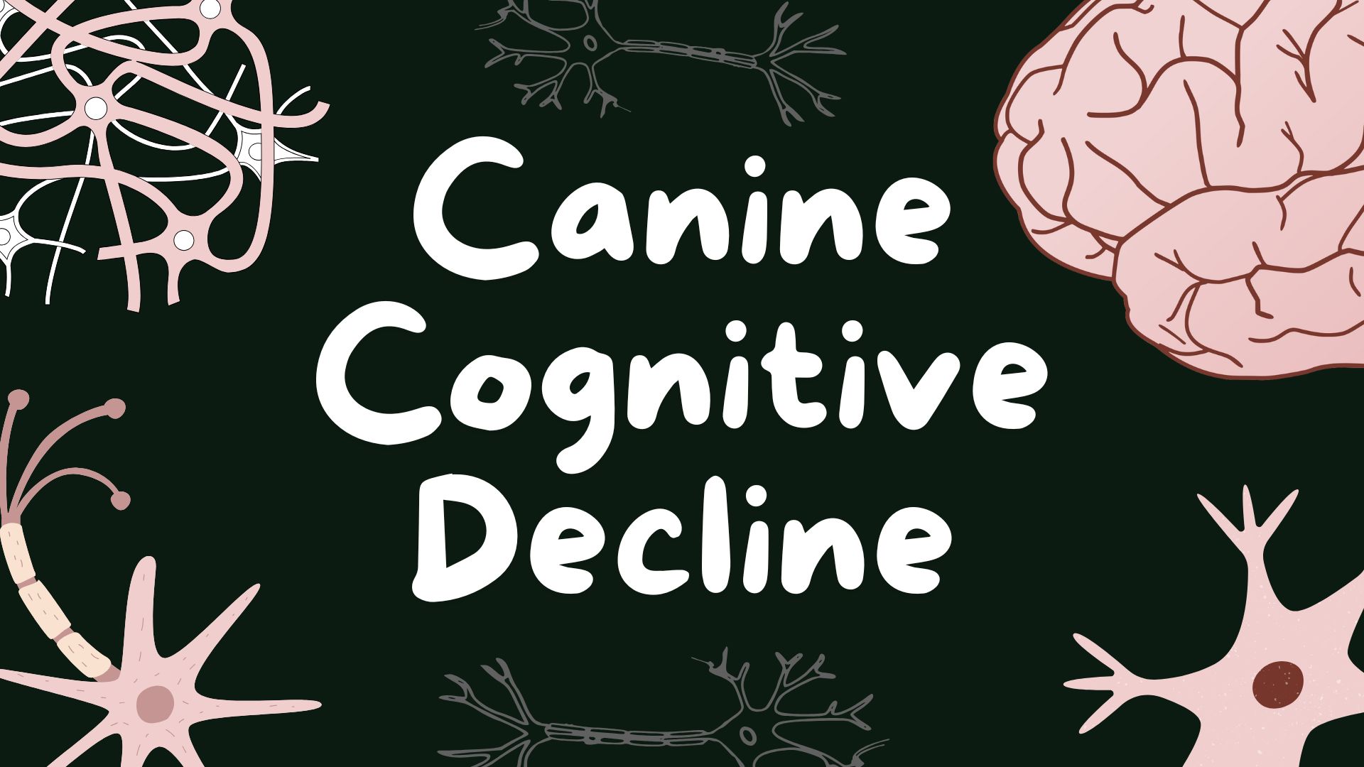 canine cognitive decline guidelines main graphic - stylized brain and neuro graphics on black background with text that says canine cognitive decline