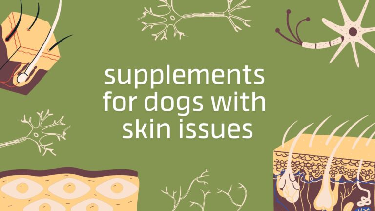 supplements for dogs with skin problems study header graphic