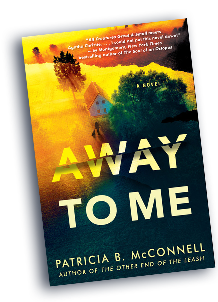 Dog book review Away to Me main graphic of the book's cover slightly tipped