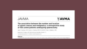 dog hemangiosarcoma study main graphic - paper header set on a dark reddish background