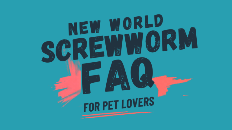new world screwworm FAQ for pet lovers main graphic