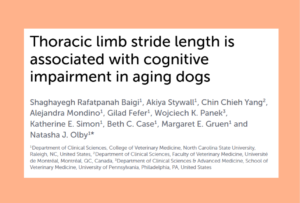 cognitive decline in dogs main graphic study header with color box
