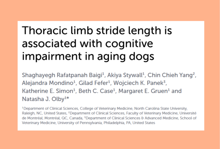 cognitive decline in dogs main graphic study header with color box