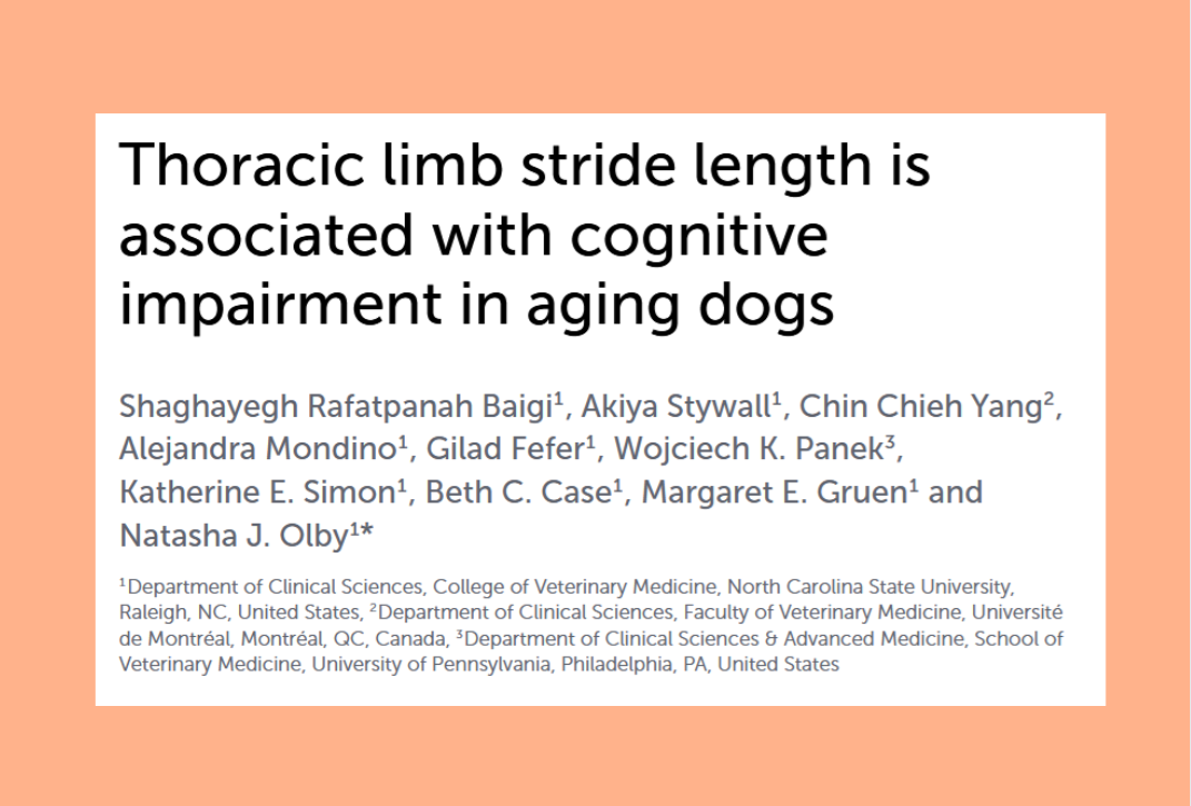cognitive decline in dogs main graphic study header with color box